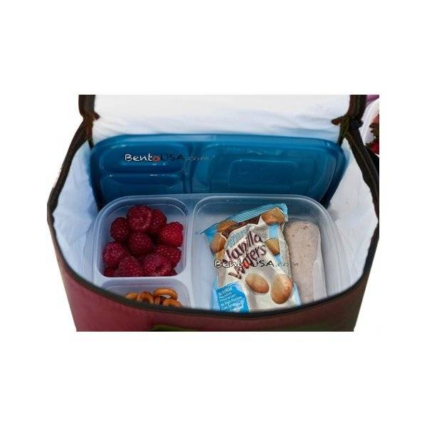 bento box and cooler bag